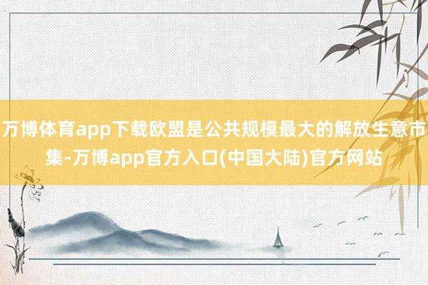 万博体育app下载欧盟是公共规模最大的解放生意市集-万博app官方入口(中国大陆)官方网站