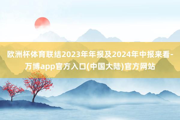 欧洲杯体育联结2023年年报及2024年中报来看-万博app官方入口(中国大陆)官方网站