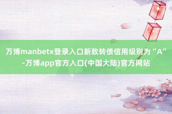 万博manbetx登录入口新致转债信用级别为“A”-万博app官方入口(中国大陆)官方网站