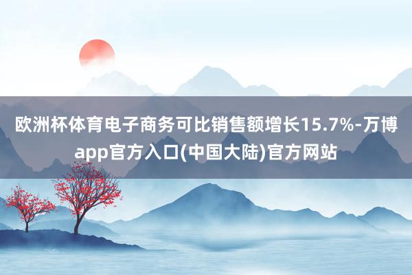欧洲杯体育电子商务可比销售额增长15.7%-万博app官方入口(中国大陆)官方网站